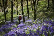 sunny walking tours in mid wales by welsh road trips sunny walking tours in mid wales by welsh road trips